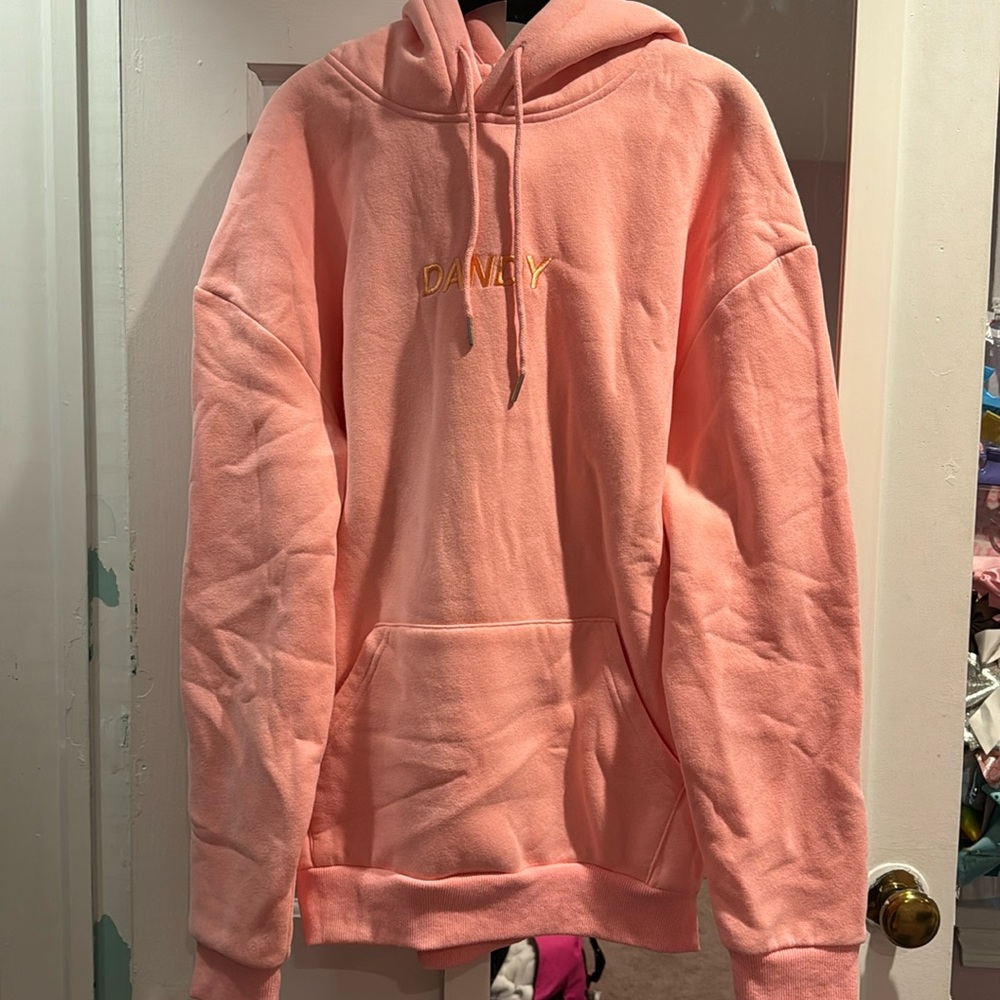 Dandy Worldwide Pink Hoodie (New no Tags)